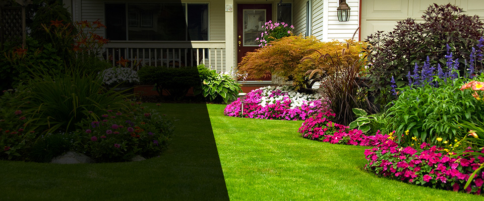 Tucson Landscapers